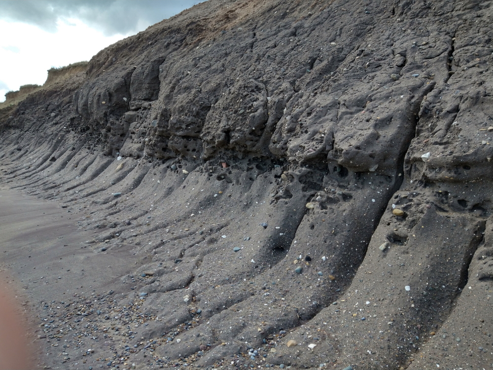 hornsea-brid4_small.JPG