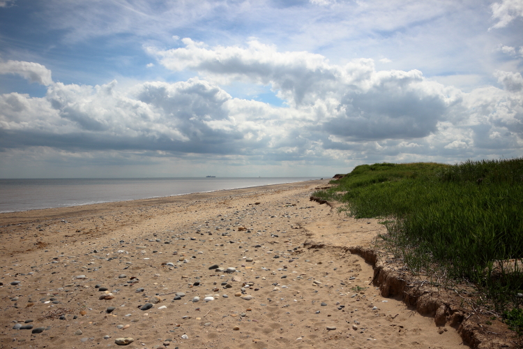 kilnsea_warren3_small.JPG